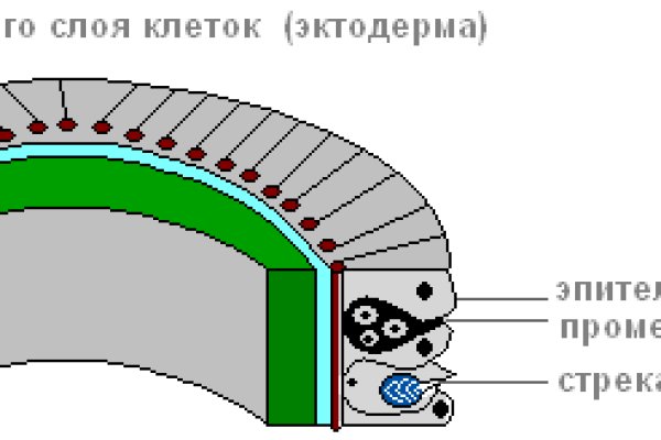 Телеграм канал blacksprut